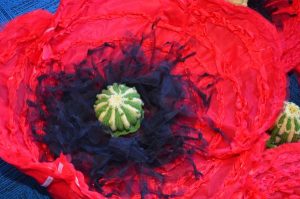 Poppy Appeal strikes a chord