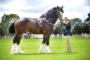Six things to do in Greater Dandenong