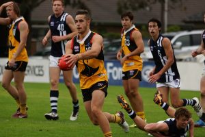 Poholke primed for the big time