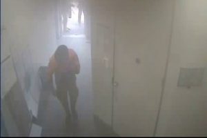 Day-glo heroes may hold clues