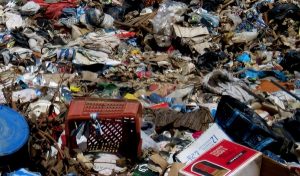 Drive-through recycling collection proves popular