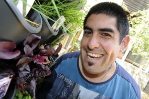 Herb garden to support disability