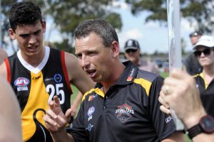 Falcons too good for Stingrays