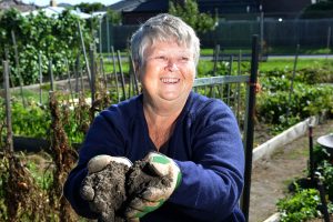 Composting boosts garden health