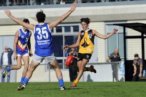 Stingrays find their mojo