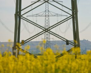 Electricity price danger
