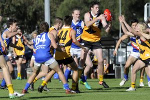 Stingrays’ goal blitz stuns Jets
