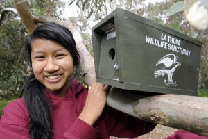 Nest boxes for native animals
