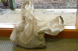 Plastic ban report is in the bag