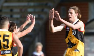Class acts return as Stingrays say their good Knights