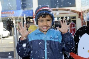 Festival experts predict huge snowfall