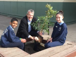 Native botany strikes a chord