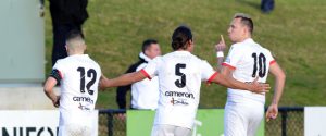 Dandenong sporting stars recognised