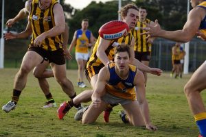 Stars shine in Team of Year