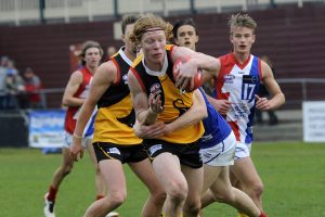 Season over for Stingrays