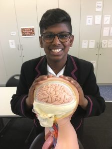 Student’s brain video wins global award