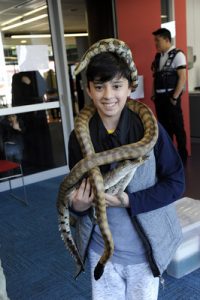 Hands-on reptile experience