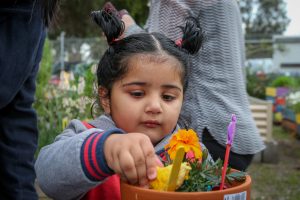 Green thumbs welcome spring