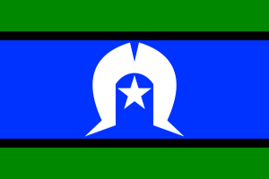 Flag debate divides council