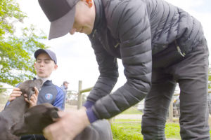 Jockeys take a moment to drive for their dream