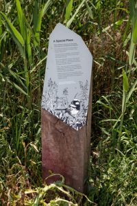 Signs give new life to river red gums