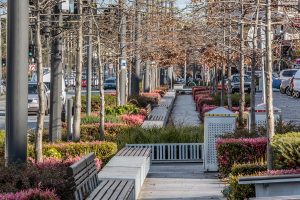 Park on the move