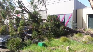 Three cars crushed
