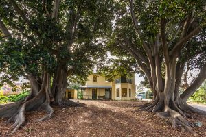 Three…different exhibitions in one location