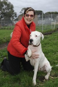 Pets need new homes