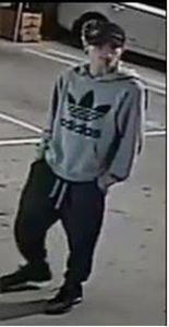 Hunt for break-in pair