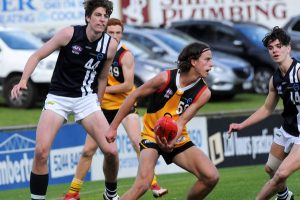 Stingrays’ streak surges