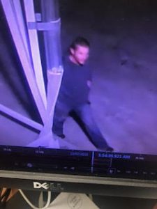 Cable thieves caught on camera