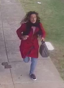 Bag snatcher on the run