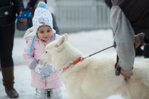 Crowds flock to snowy Springvale