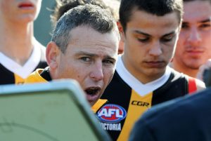 Black’s Stingrays swansong ends in glory