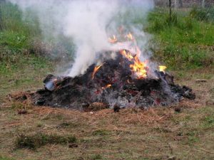 Burn-off window narrows as fire season looms