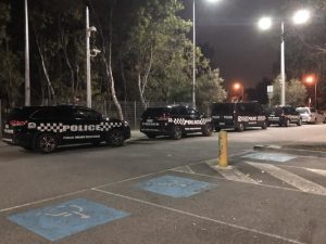 Youth mayhem reported in Lynbrook