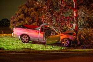 Ute ploughs head-on with tree