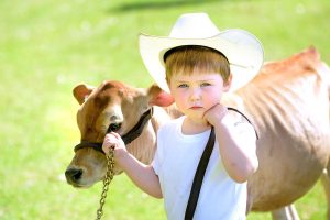 Weekend of animal attractions