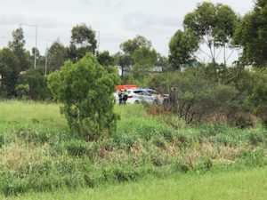 Body found in Dandenong Creek