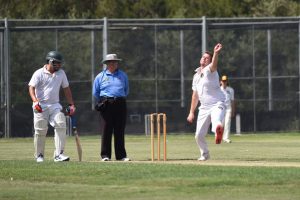 Lions pair carve it up
