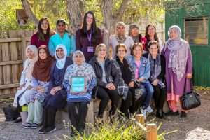 Wellsprings leads on gender equity