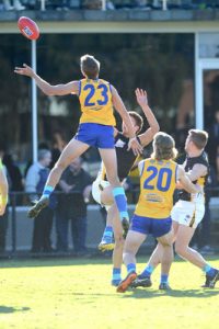 Bulls no match for Tigers