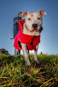 Walk for shelter, huddle for warmth