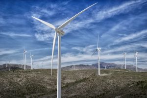 Council goes 100% green-power