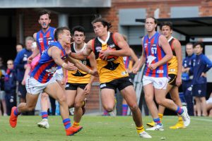 Season over for Dandenong