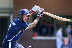 Bears off to bright start