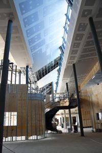 Library transformation takes shape