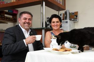 Where cats get the cream