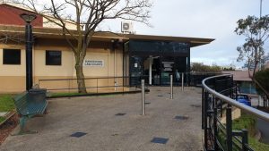 ’Caveman’ attacks on ex and police